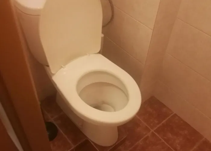 Bed In Shared Near The Centre Hostel *